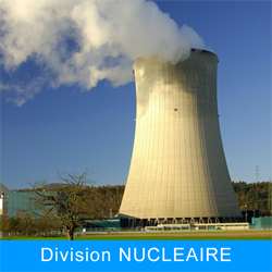 Division nucléaire IBC